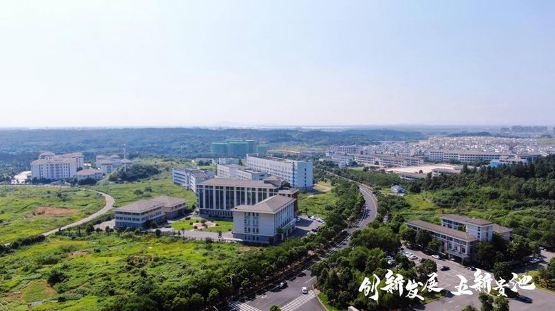 企业管理系统定制：提升管理效率的智能助手